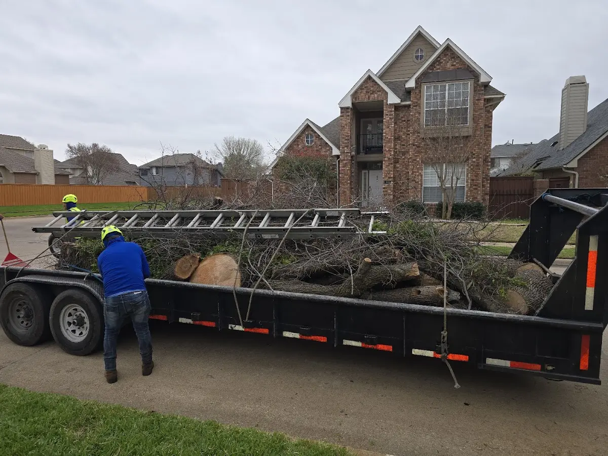 Expert Tree Fertilization with proper safety equipment in Three Bridges